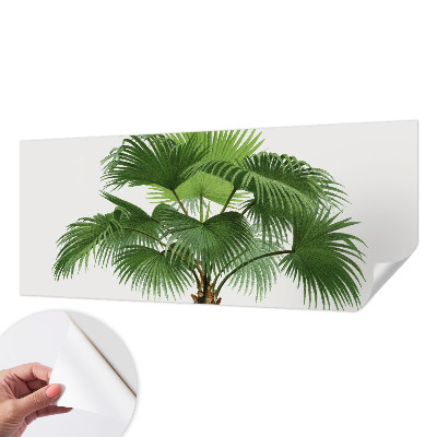 Motivtapete fürs Wohnzimmer mit exotischem Palmenmotiv