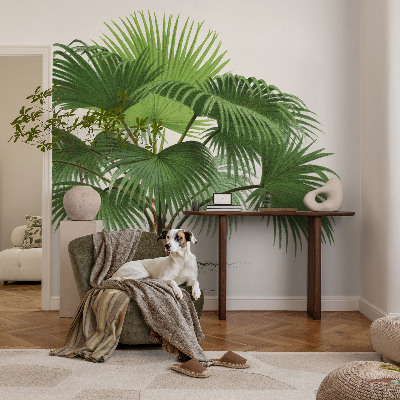Motivtapete fürs Wohnzimmer Exotische Palme