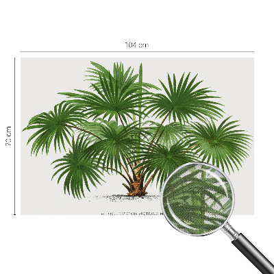 Hochwertige Bildtapete Exotisches Muster