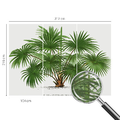 Hochwertige Bildtapete Exotisches Muster