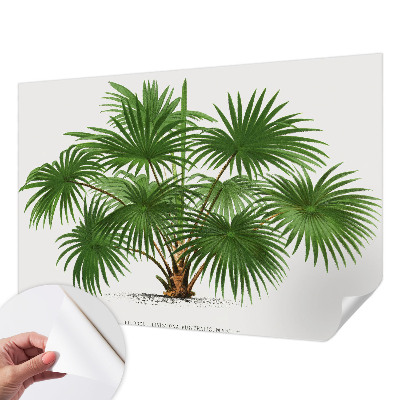 Hochwertige Bildtapete Exotisches Muster