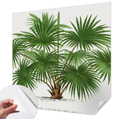 Hochwertige Bildtapete Exotisches Muster