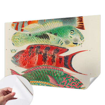 Selbstklebende Fototapete mit Motiv exotischer Fische