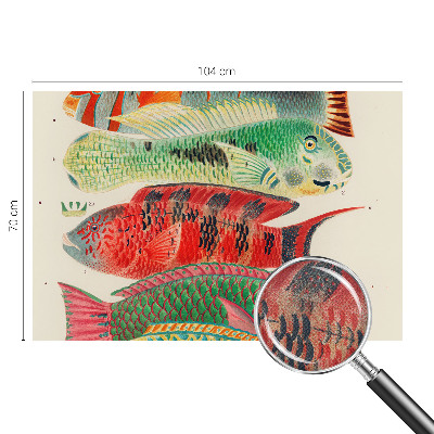 Selbstklebende Fototapete mit Motiv exotischer Fische