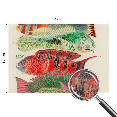 Selbstklebende Fototapete mit Motiv exotischer Fische