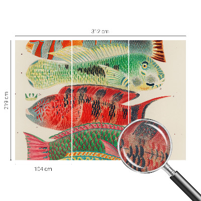 Selbstklebende Fototapete mit Motiv exotischer Fische