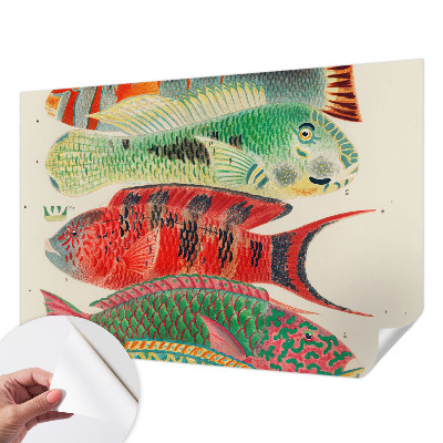 Selbstklebende Fototapete mit Motiv exotischer Fische