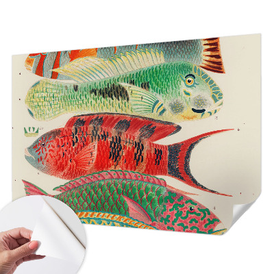 Selbstklebende Fototapete mit Motiv exotischer Fische