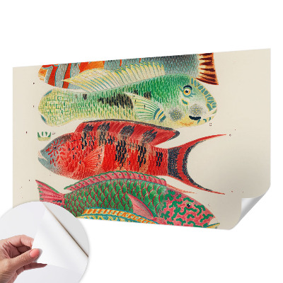 Selbstklebende Fototapete mit Motiv exotischer Fische