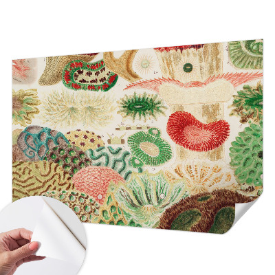 Selbstklebende Fototapete für die Wand Organische Formen