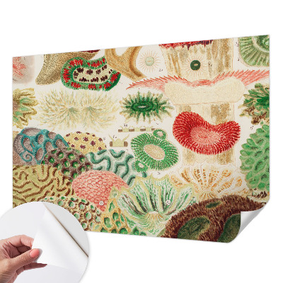 Selbstklebende Fototapete für die Wand Organische Formen