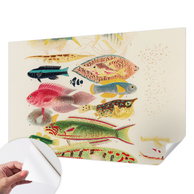 Selbstklebende Fototapete fürs Wohnzimmer mit bunten Fischen als Motiv
