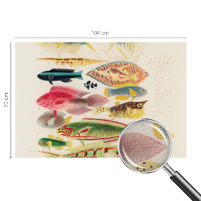 Selbstklebende Fototapete fürs Wohnzimmer mit bunten Fischen als Motiv