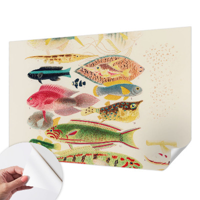 Selbstklebende Fototapete fürs Wohnzimmer mit bunten Fischen als Motiv