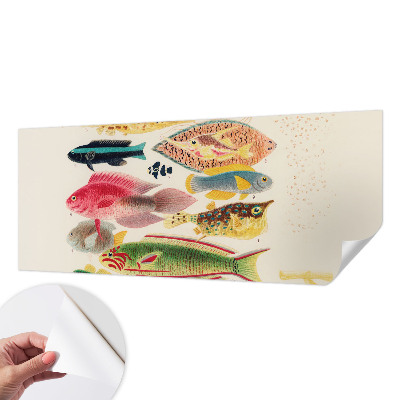 Selbstklebende Fototapete fürs Wohnzimmer mit bunten Fischen als Motiv