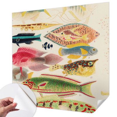 Selbstklebende Fototapete fürs Wohnzimmer mit bunten Fischen als Motiv