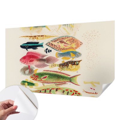 Selbstklebende Fototapete fürs Wohnzimmer mit bunten Fischen als Motiv