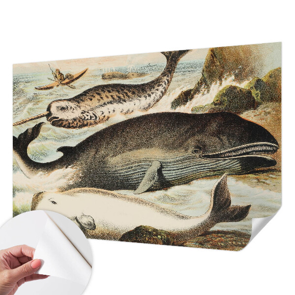 Selbstklebende Fototapete für die Wand Meeresriesen