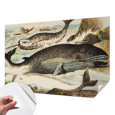 Selbstklebende Fototapete für die Wand Meeresriesen