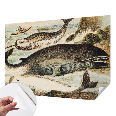 Selbstklebende Fototapete für die Wand Meeresriesen