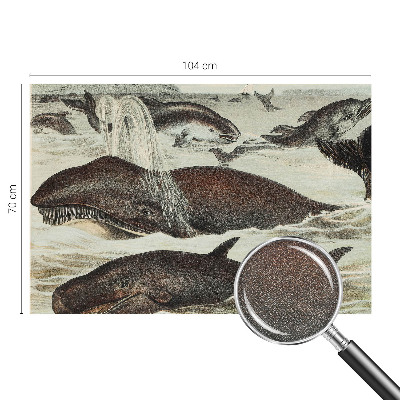 Selbstklebende Fototapete fürs Wohnzimmer Meerestiere