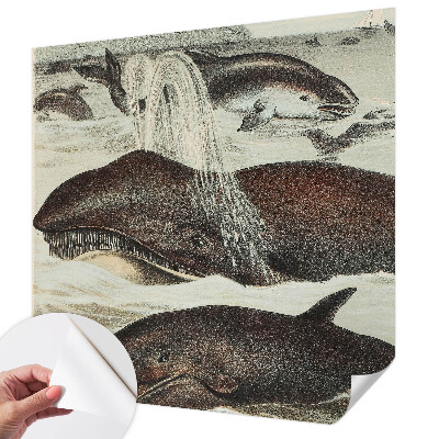 Selbstklebende Fototapete fürs Wohnzimmer Meerestiere