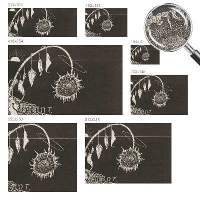 83D-Fototapete mit nostalgischem Sonnenblumenmotiv