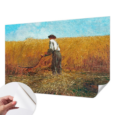 83D-Fototapete fürs Schlafzimmer Ernte in der Sonne