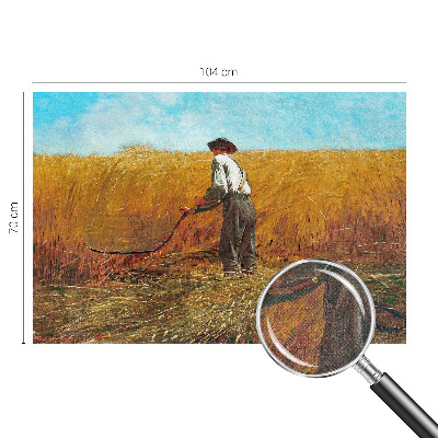 83D-Fototapete fürs Schlafzimmer Ernte in der Sonne