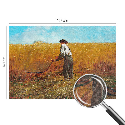 83D-Fototapete fürs Schlafzimmer Ernte in der Sonne