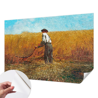 83D-Fototapete fürs Schlafzimmer Ernte in der Sonne