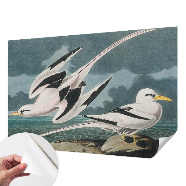 Fototapete in 3D-Optik Vögel am Meer