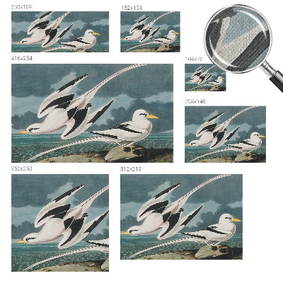Fototapete in 3D-Optik mit Motiv von Vögeln am Meer