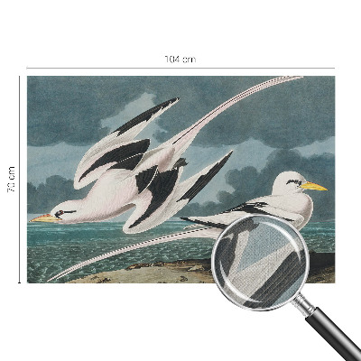 Fototapete in 3D-Optik mit Motiv von Vögeln am Meer