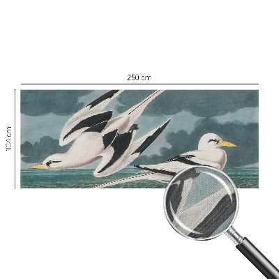 Fototapete in 3D-Optik mit Motiv von Vögeln am Meer