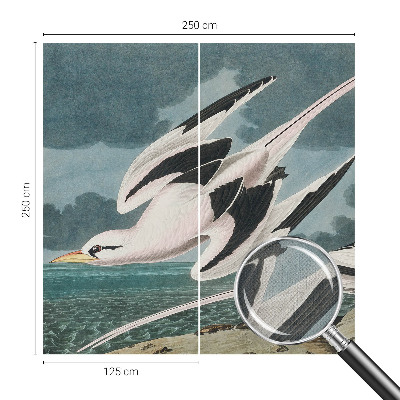 Fototapete in 3D-Optik mit Motiv von Vögeln am Meer