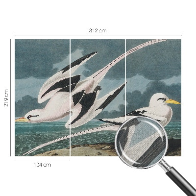 Fototapete in 3D-Optik Vögel am Meer