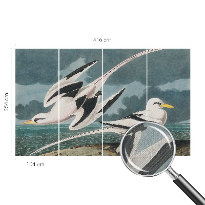 Fototapete in 3D-Optik mit Motiv von Vögeln am Meer