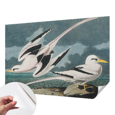 Fototapete in 3D-Optik Vögel am Meer