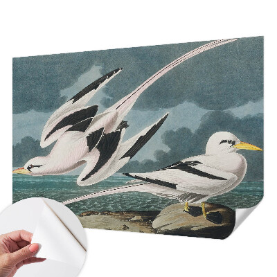 Fototapete in 3D-Optik Vögel am Meer