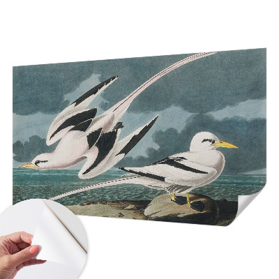 Fototapete in 3D-Optik mit Motiv von Vögeln am Meer