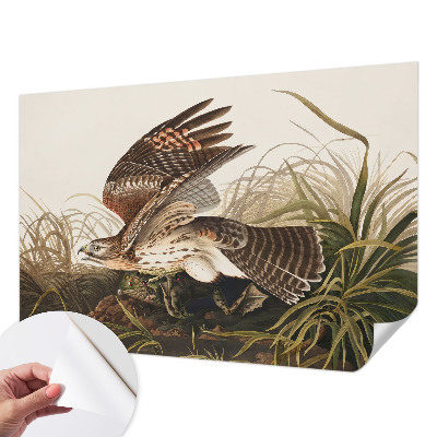 84D-Fototapete fürs Wohnzimmer Geflügelte Schönheit