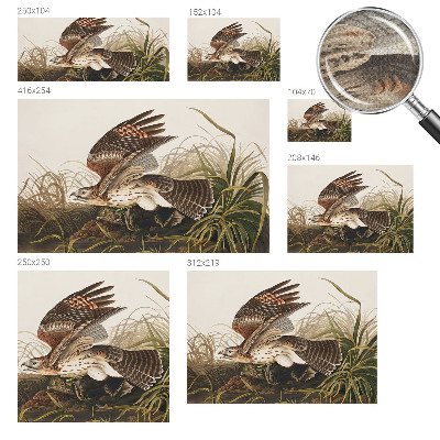 84D-Fototapete fürs Wohnzimmer Geflügelte Schönheit