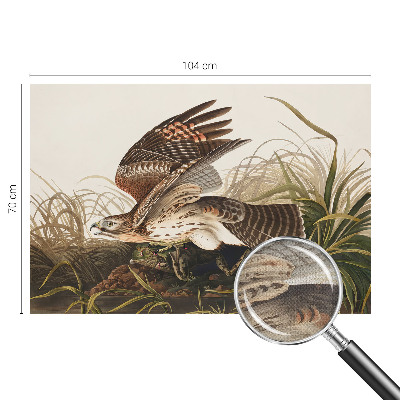 84D-Fototapete fürs Wohnzimmer Geflügelte Schönheit