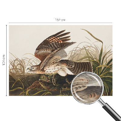 84D-Fototapete fürs Wohnzimmer Geflügelte Schönheit