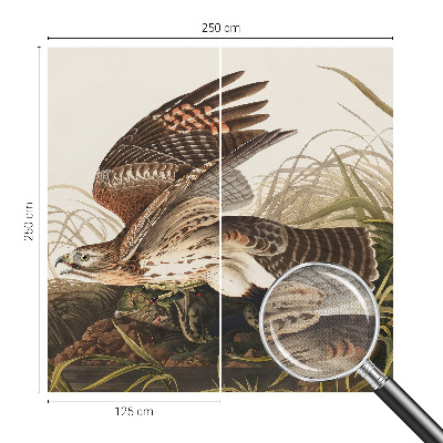 84D-Fototapete fürs Wohnzimmer Geflügelte Schönheit