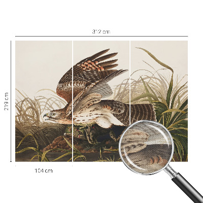 84D-Fototapete fürs Wohnzimmer Geflügelte Schönheit