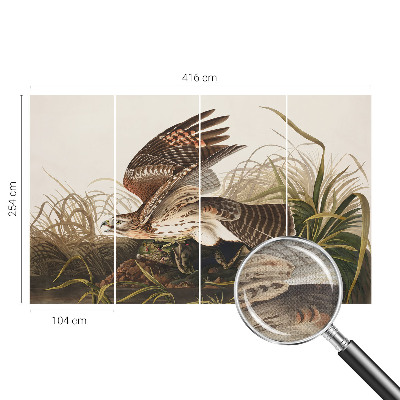 84D-Fototapete fürs Wohnzimmer Geflügelte Schönheit