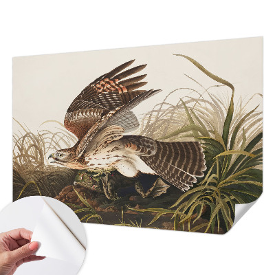 84D-Fototapete fürs Wohnzimmer Geflügelte Schönheit