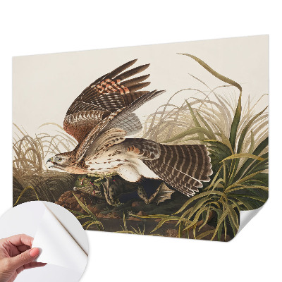 84D-Fototapete fürs Wohnzimmer Geflügelte Schönheit